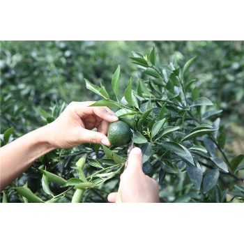 【企业篇】2020壹号平台注册链接_壹号平台下载安装生产日志